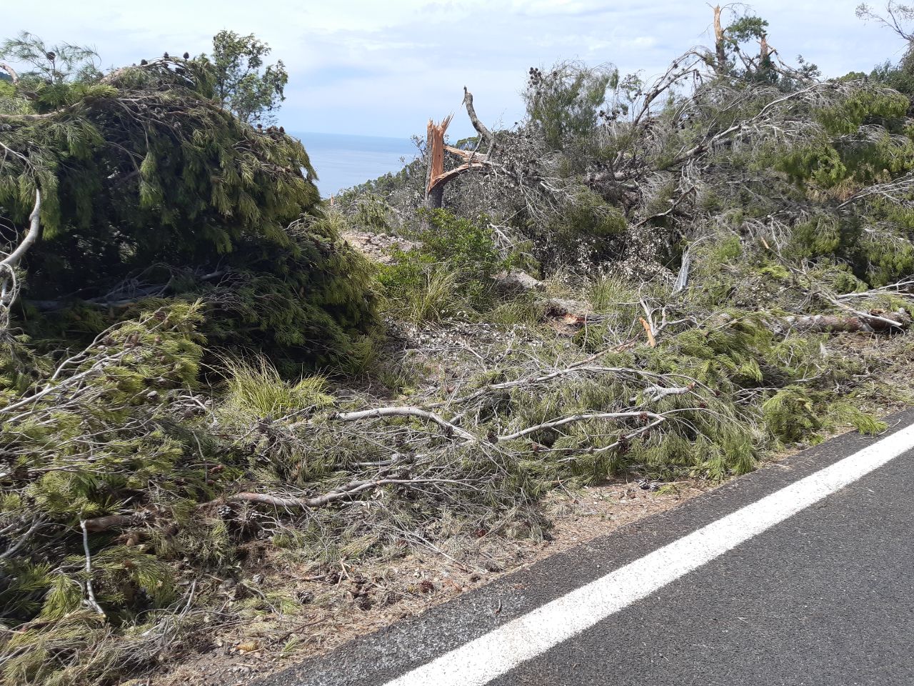 Els efectes de la tempesta a Banyalbufar.