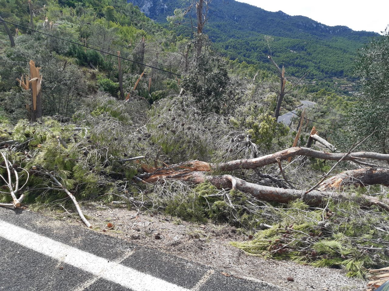 Los efectos de la tormenta en Banyalbufar.