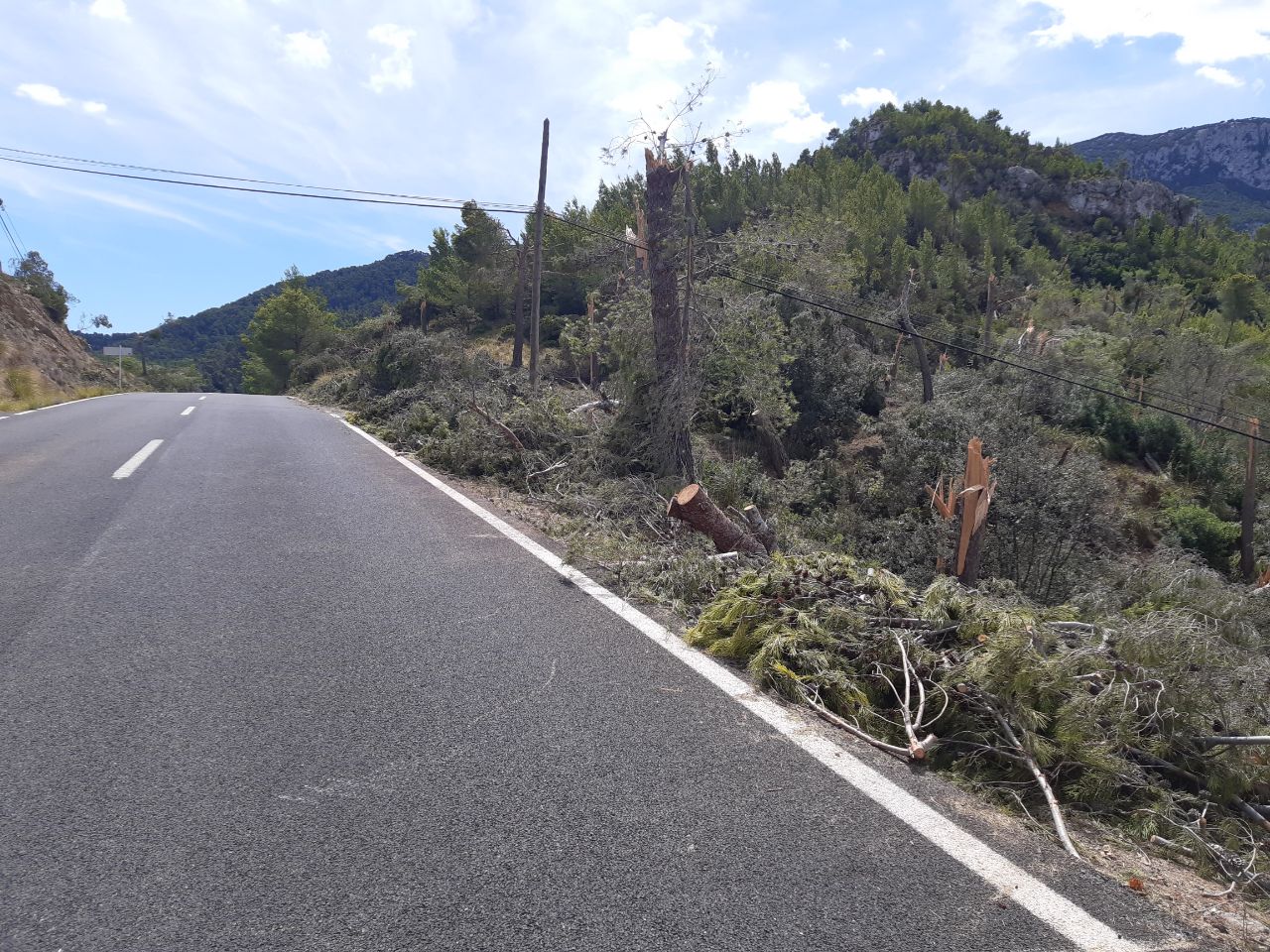 Los efectos de la tormenta en Banyalbufar.