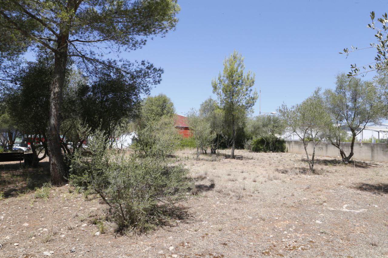 Solar donde se construirá la jefatura de los Bombers de Mallorca en Marratxí.