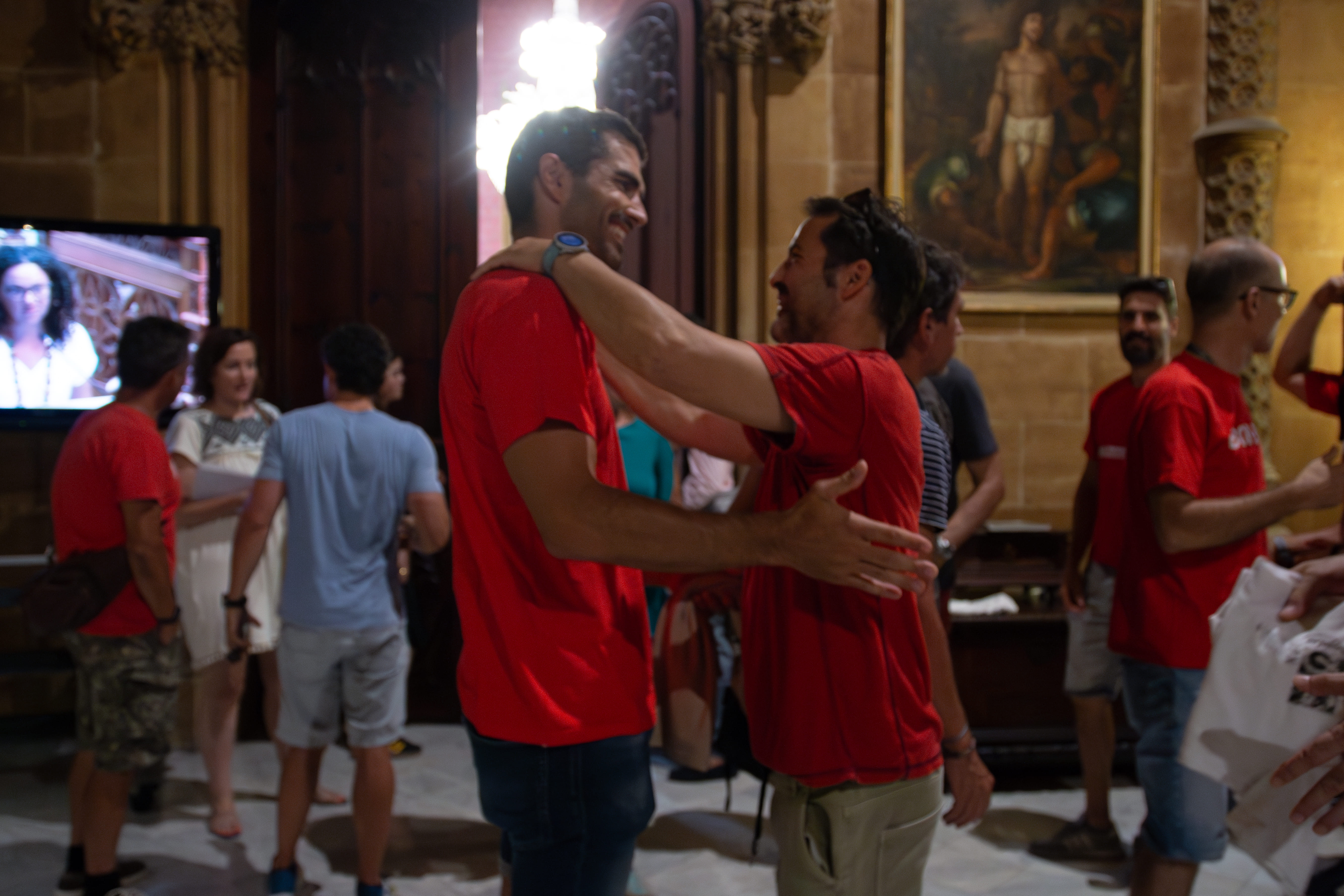 Pleno del Consell de Mallorca.