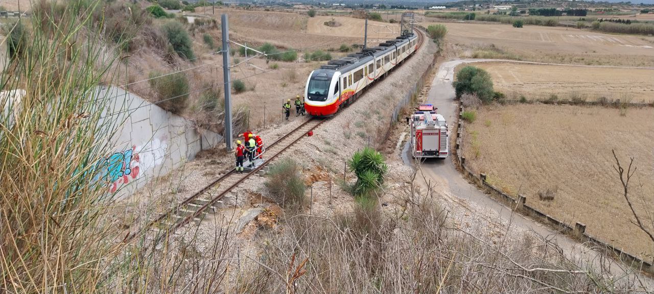 El tren de la línea Palma-Manacor parado a la altura de Petra.