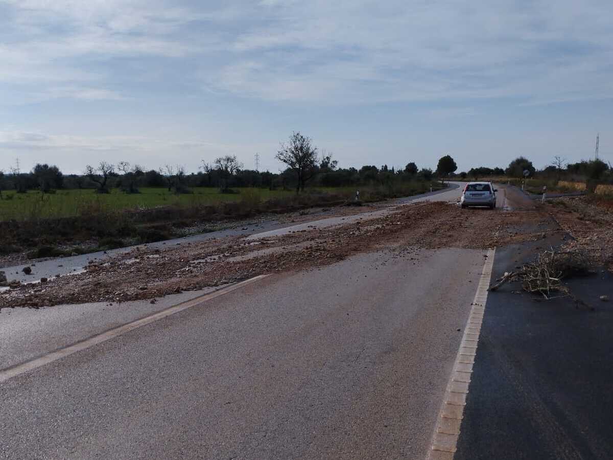 Les brigades de carreteres actuant a una carretera de Mallorca.