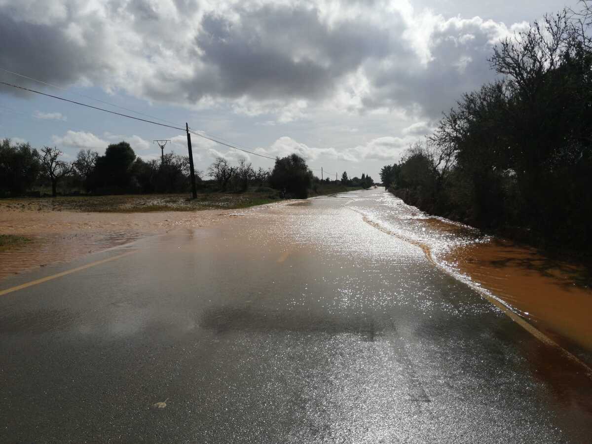 Les brigades de carreteres actuant a una carretera de Mallorca.