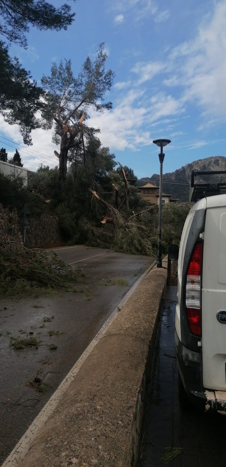 Carretera de Bunyola (Ma- 2010)